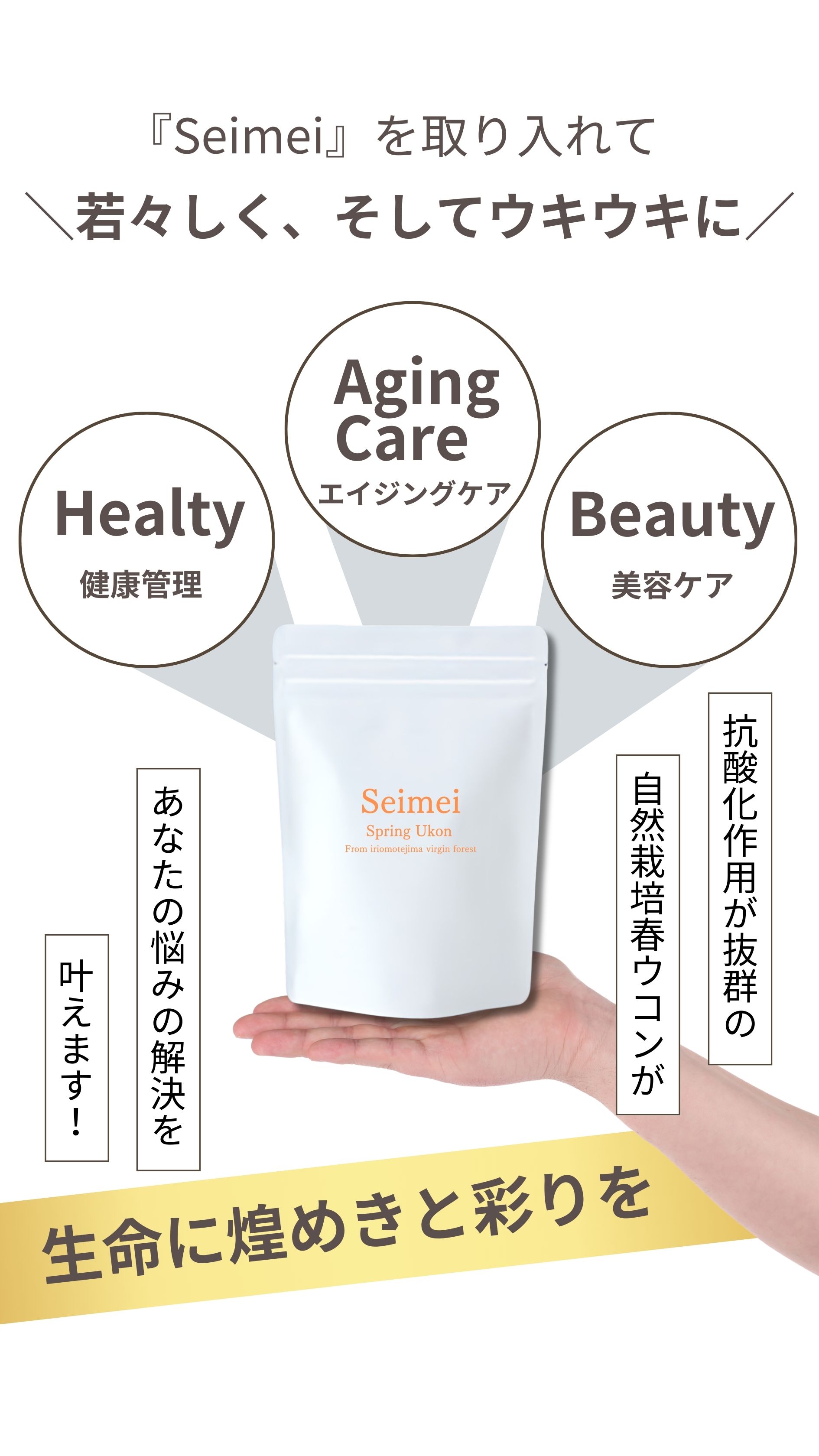 Seimeiを取り入れて